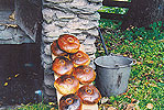 Brotbackofen Hohnerbauer